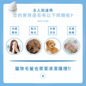 80%的毛小孩都用錯洗毛精！