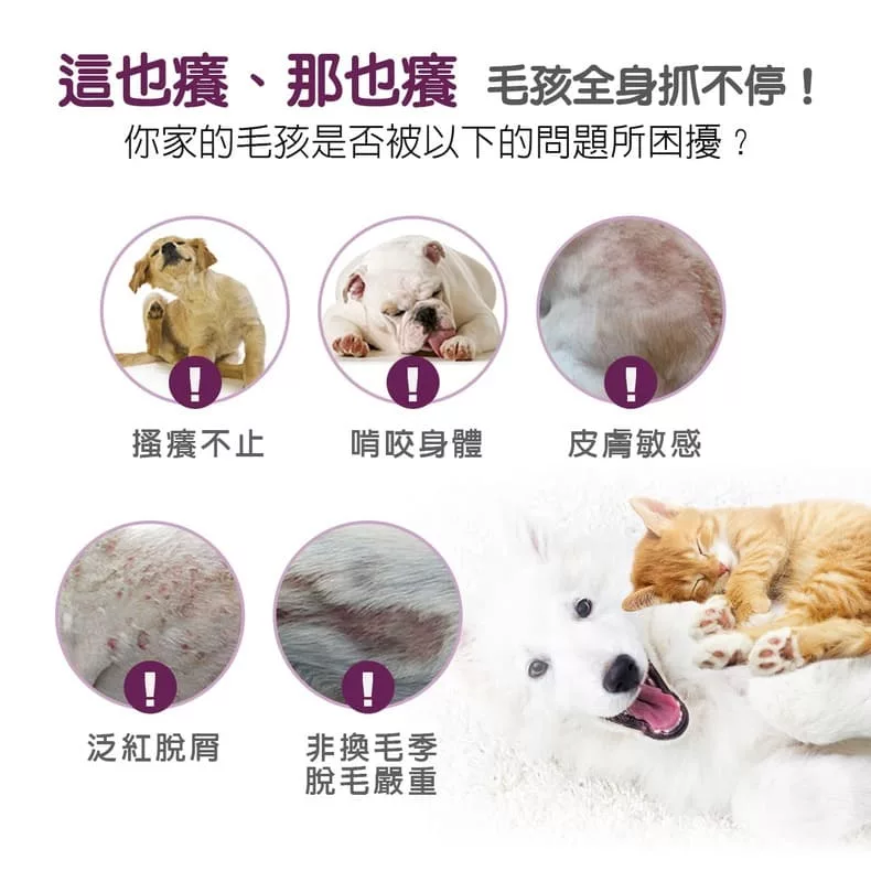 皮膚、皮屑、搔癢問題