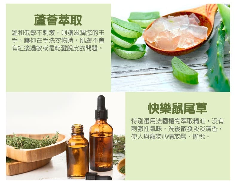 蘆薈萃取