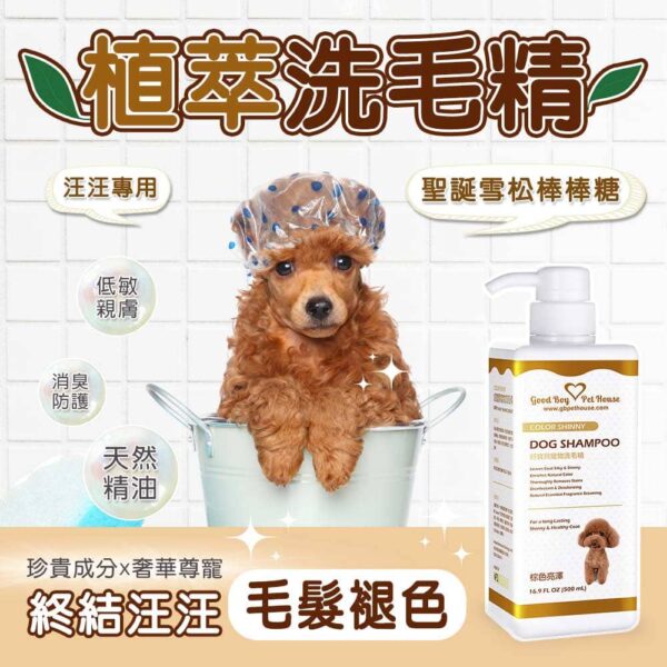 棕色亮澤草本植萃肌膚養護寵物洗毛精 - 狗狗專用 聖誕雪松棒棒糖泡泡 500ml：圖片 4