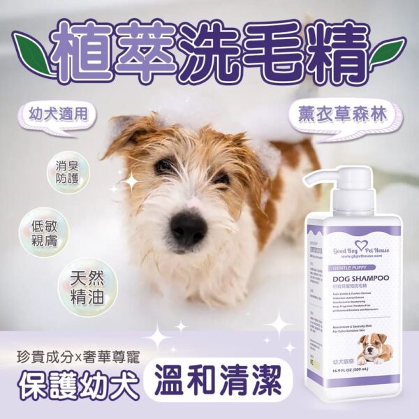 幼犬敏感草本植萃肌膚養護寵物洗毛精 - 狗狗專用 薰衣草森林泡泡 500ml：圖片 3