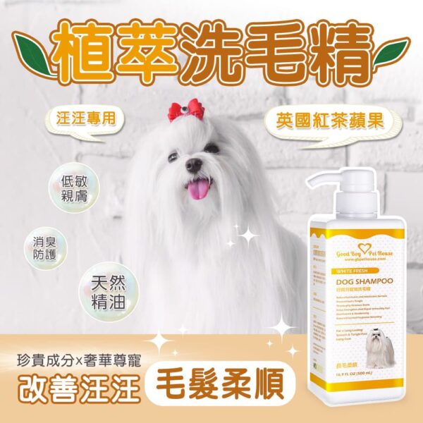 長毛柔順草本植萃肌膚養護寵物洗毛精 - 狗狗專用 英國紅茶蘋果泡泡 500ml：圖片 3