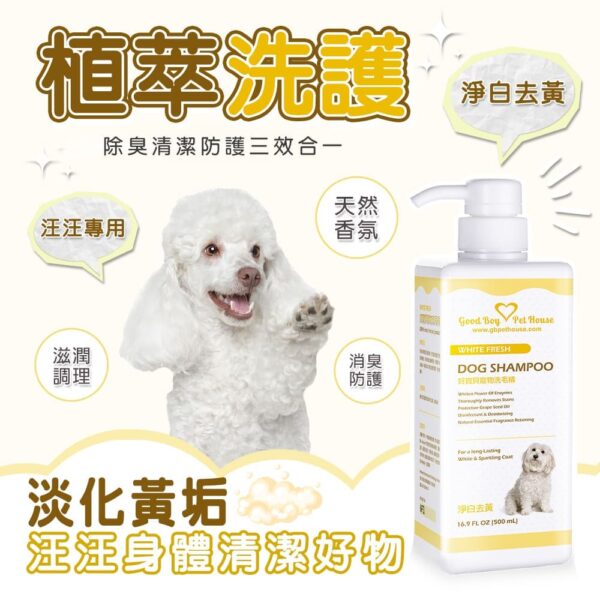 淨白去黃草本植萃肌膚養護寵物洗毛精 - 狗狗專用 法式牛奶糖泡泡 500ml：圖片 4