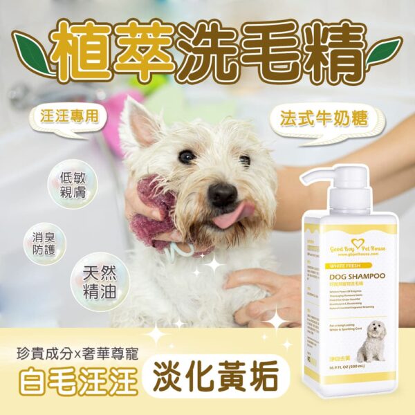 草本植萃肌膚養護寵物洗毛精全系列 - 犬貓專用 十款功能可選 500ml：圖片 6