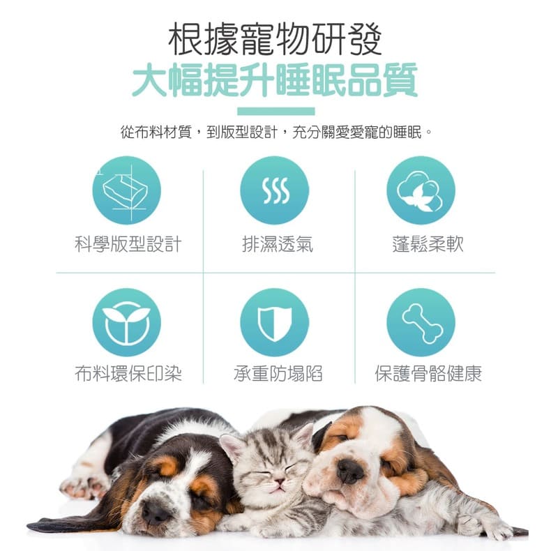 大幅提升睡眠體質