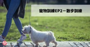 散步訓練4步驟 訓練培養和狗狗的好默契-寵物訓練ep2 ｜ GBPH 好寶貝寵物居家用品 https://www.gbph.us/pet-training-ep2/ 狗狗散步的重要性 散步對於任何體型的狗狗來說，就像吃飯睡覺上廁所一樣是日常生活需求。散步除了滿足狗狗生理上運動的需求外，同時也可以舒緩狗狗心理壓力，無論是人或狗狗若長期侷限在一個空間，久了都會感到壓迫，造成健康及行為問題，下列列出幾項散步可以帶來的好處： 避免運動不足、刺激狗狗運動神經元 狗狗可以依照體型區分每天生理需
