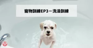 貓狗洗澡訓練三步驟 簡單掌握洗澡秘訣！ ｜ GBPH 好寶貝寵物居家用品 https://www.gbph.us/pet-tranning-ep3/ 寵物訓練ep1：定點大小便寵物訓練ep2：散步訓練 貓狗都需要洗澡嗎？ 無論是貓狗在剛到家裡時都需要做一次大清潔，以免在外的細菌、病蟲帶入家中。 除此之外，初次回家都需要洗澡外，一般狗狗在夏天比較潮溼炎熱的時候或者固定每天都會外出散步的狗狗洗澡頻率約一週一次，則貓咪可以分長毛和短貓，長毛貓約半年洗一次，短毛貓約一年一次