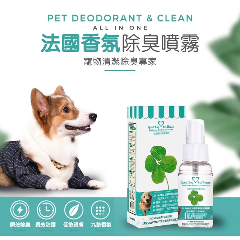 ALL IN ONE法國香氛除臭噴霧
