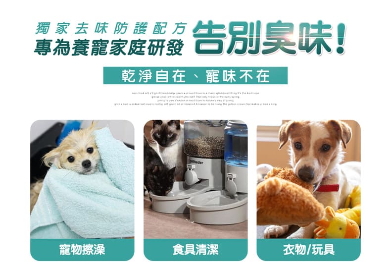 乾淨自在、寵味不在