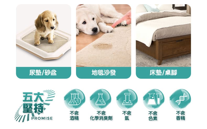 五大堅持