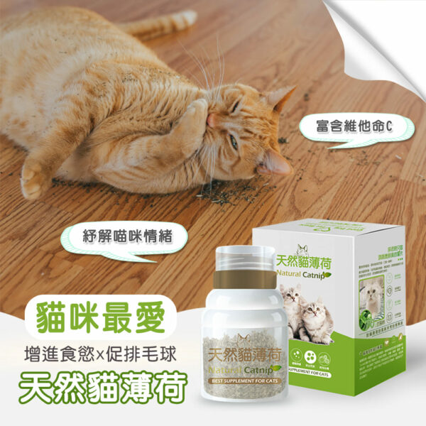 天然有機貓薄荷草 30g  💕幫助貓咪舒緩情緒 💕維持清新口氣：圖片 4