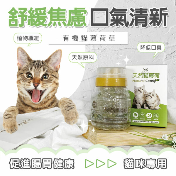 天然有機貓薄荷草 30g  💕幫助貓咪舒緩情緒 💕維持清新口氣：圖片 3