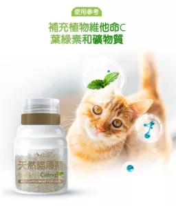 使用參考