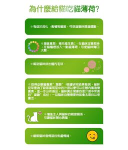 為什麼給貓吃貓薄荷?