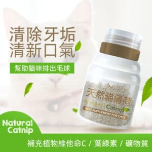 貓薄荷草