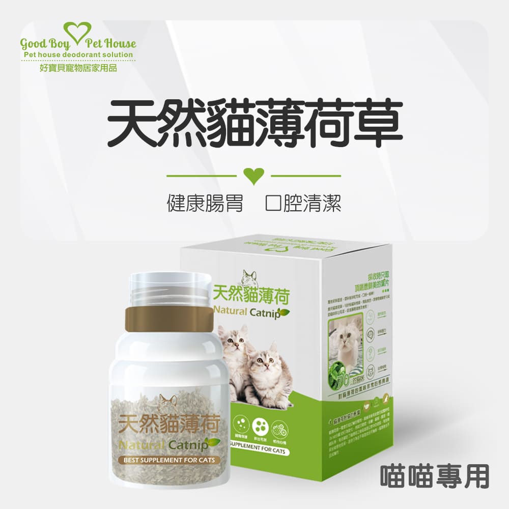 貓薄荷草