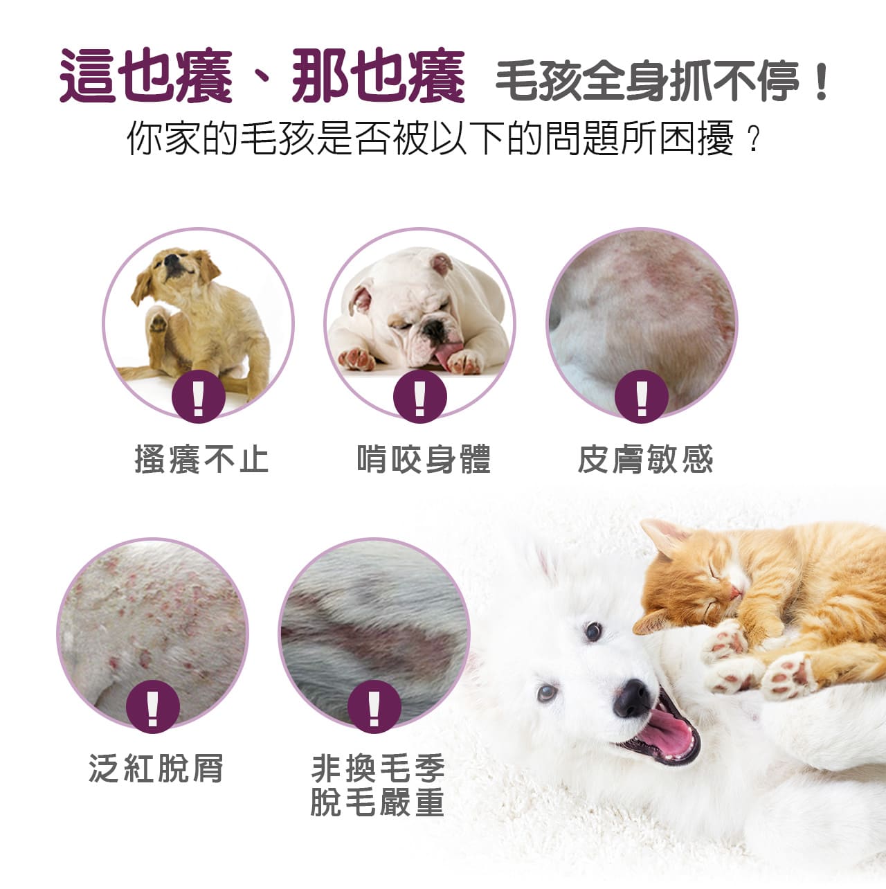 毛孩全身抓不停!