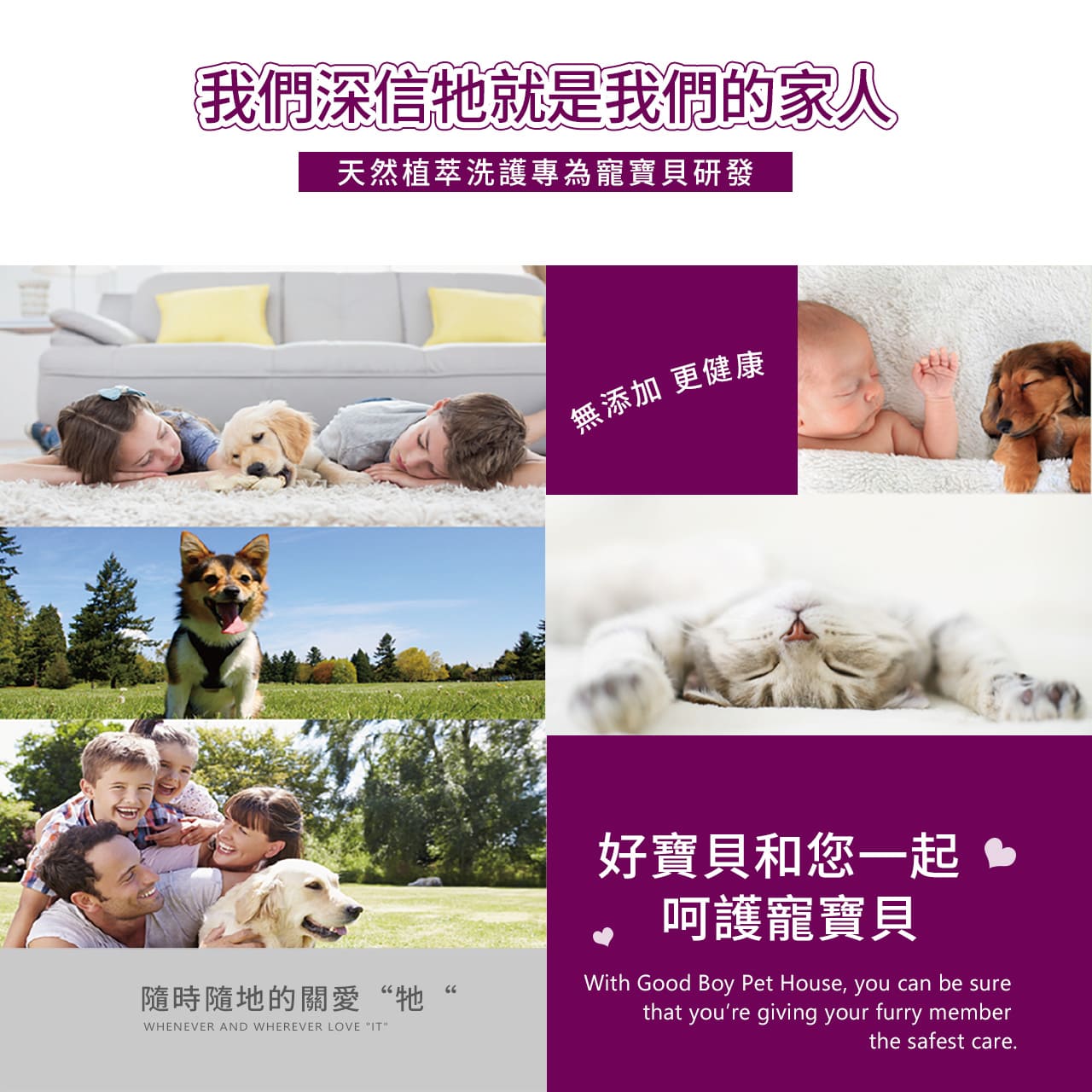 寵物皮膚, 寵物止癢噴霧推薦