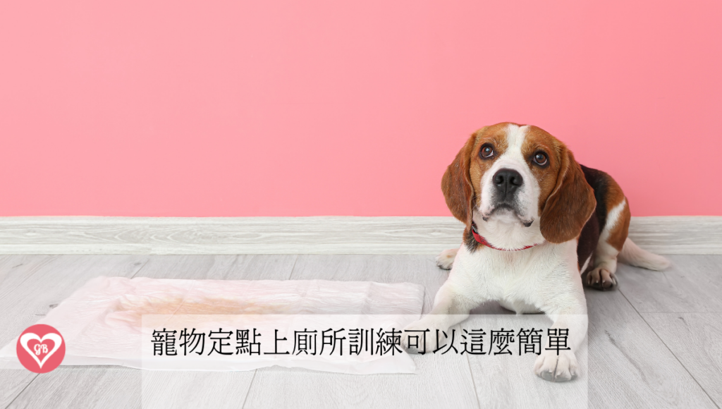 寵物定點上廁所訓練 可以這麼簡單- 寵物尿布墊重複使用 ｜ GBPH 好寶貝寵物居家用品 https://www.gbph.us/%e5%af%b5%e7%89%a9%e5%ae%9a%e9%bb%9e%e4%b8%8a%e5%bb%81%e6%89%80%e8%a8%93%e7%b7%b4-%e5%a5%bd%e5%af%b6%e8%b2%9d%e5%8f%af%e4%bb%a5%e9%80%99%e9%ba%bc%e7%b0%a1%e5%96%ae/ 毛孩又尿在床上？GBPH 揭開定點訓練成功的關鍵：氣味記憶。針對領養犬或幼犬因環境混淆造成的亂尿困擾，我們提供物理性的環境引導方案。透過穩定氣味標記與重複使用設計，不必反覆更換尿布墊導致認知混淆，讓毛孩在雨天、室內都能安心如廁，輕鬆養成定點好習慣。 毛爸毛媽的煩惱針對毛孩的記憶下手重複換尿布混淆毛孩認知氣味記憶最可靠重複使用免囤貨下雨天免著急毛孩不用憋尿也有專用廁所 Cooper是我兩年前領養的米克斯，剛來到我家的時候因為他的前任飼主沒有訓練好定點上廁所，甚至飼養的環境裡面還有一張床，以致於他想上廁所的時候，就跑到客房的彈簧床上大便尿尿。