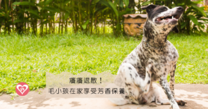 癢癢退散