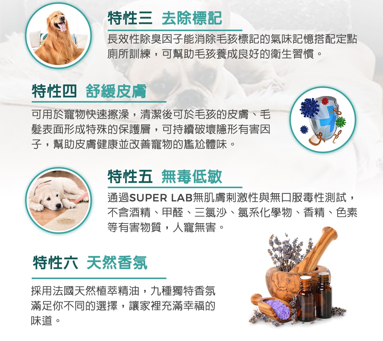 ALL IN ONE 法國香氛除臭噴霧