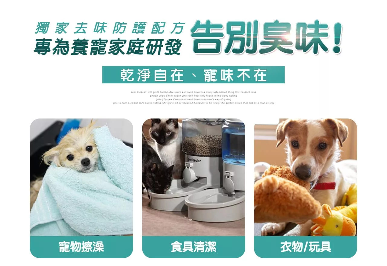 乾淨自在、寵味不在