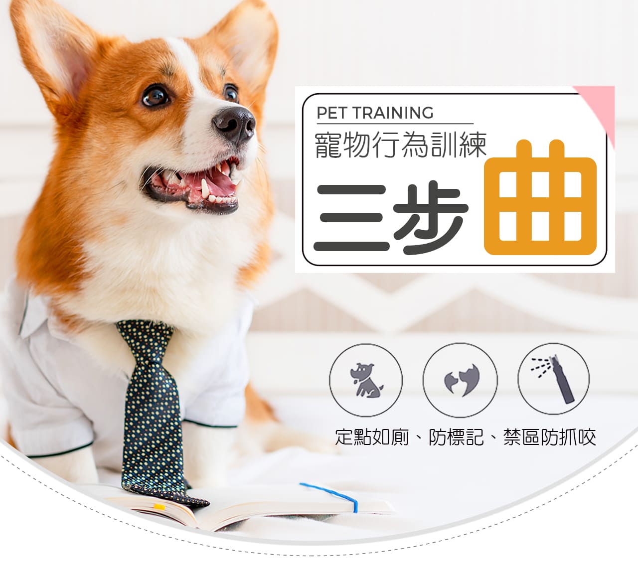 寵物行為訓練三部曲
