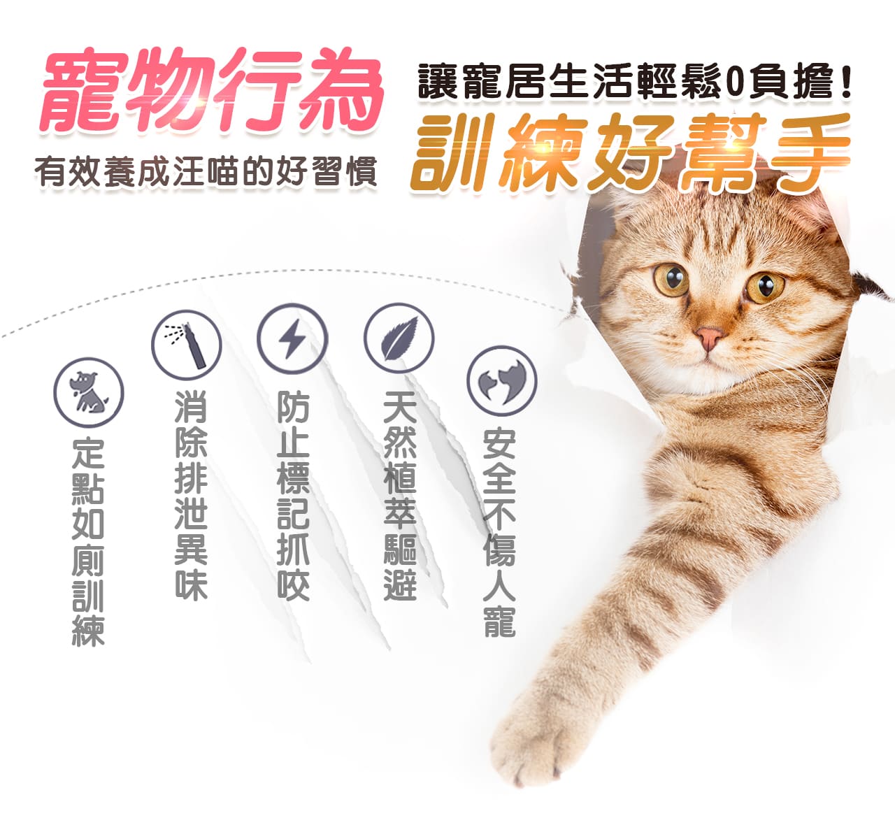 寵物行為訓練好幫手
