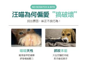 汪喵為何偏愛"搞破壞"