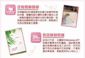 定點如廁訓練