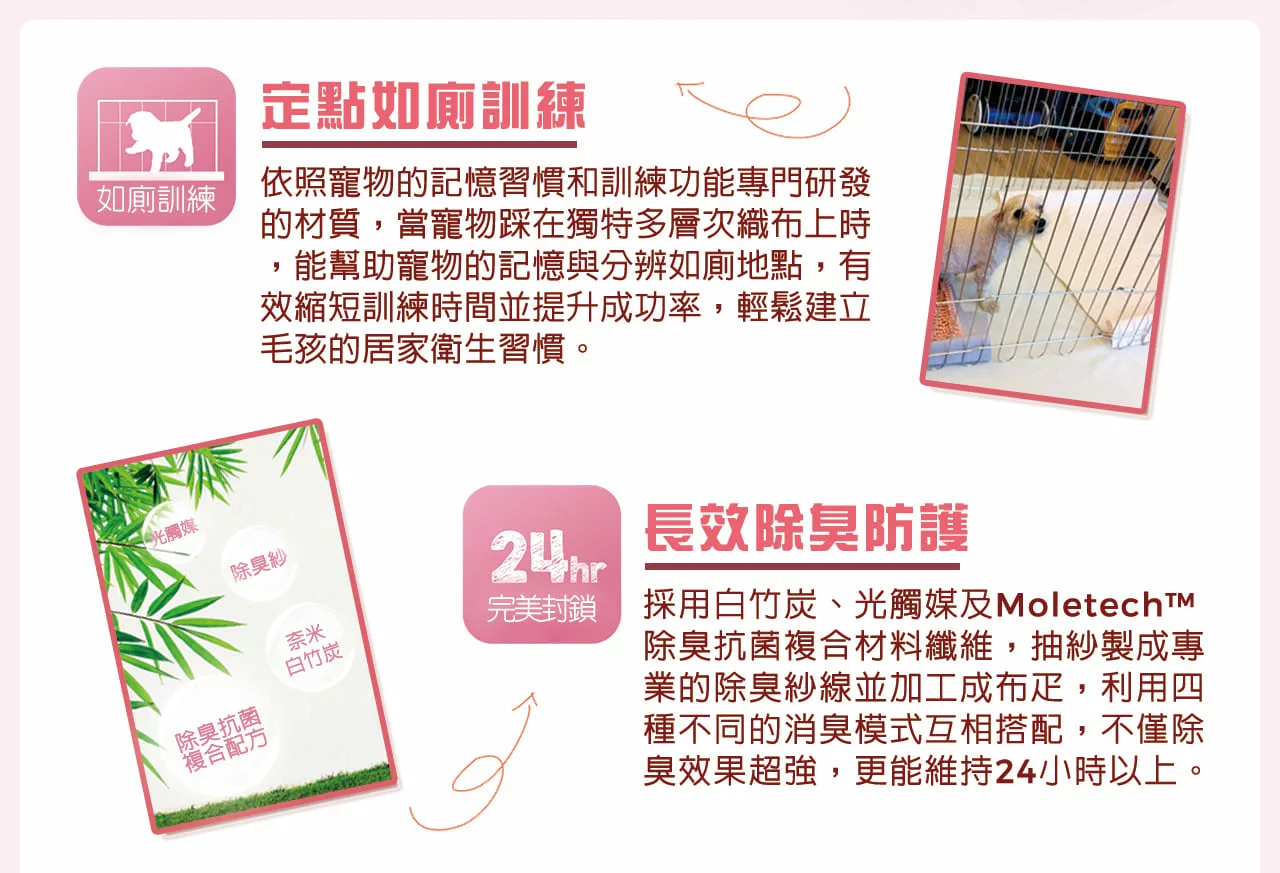定點如廁訓練