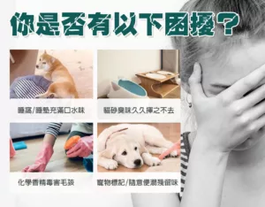 你是否有以下困擾?