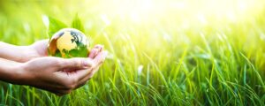 GBPH Health Beliefs​ | 好寶貝無毒低敏主張