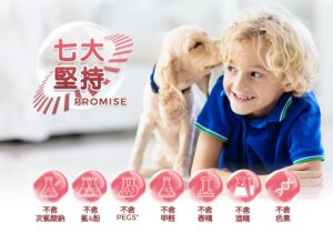 七大堅持