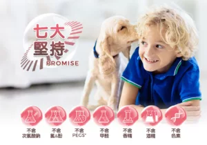 七大堅持