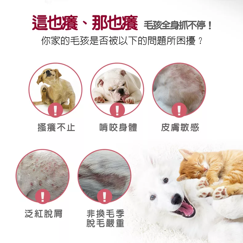 毛孩全身抓不停!