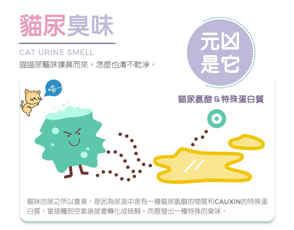 貓砂盆專用清潔慕斯 500ml-06