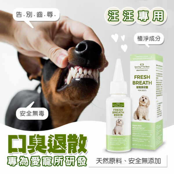 草本植萃寵物潔牙露 30ml -減少牙垢產生、寵物口臭漁港味掰掰～ 滴在水碗裡的潔牙水：圖片 6