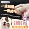 【GBPH好寶貝】癢癢舒敏寵物皮膚問題修護保養組：寵物皮膚問題的終極解決方案(癢癢舒敏防舔咬噴霧150ml+問題肌修護洗毛精500ml)：圖片 4