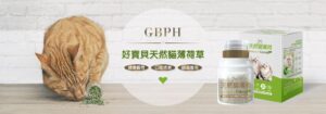天然有機 貓薄荷草 貓咪喜愛 GBPH 好寶貝