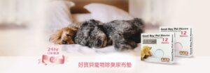 尿布墊 超強吸水 狗專用 GBPH 好寶貝