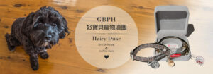 英倫風 經典格紋 公爵GBPH 好寶貝