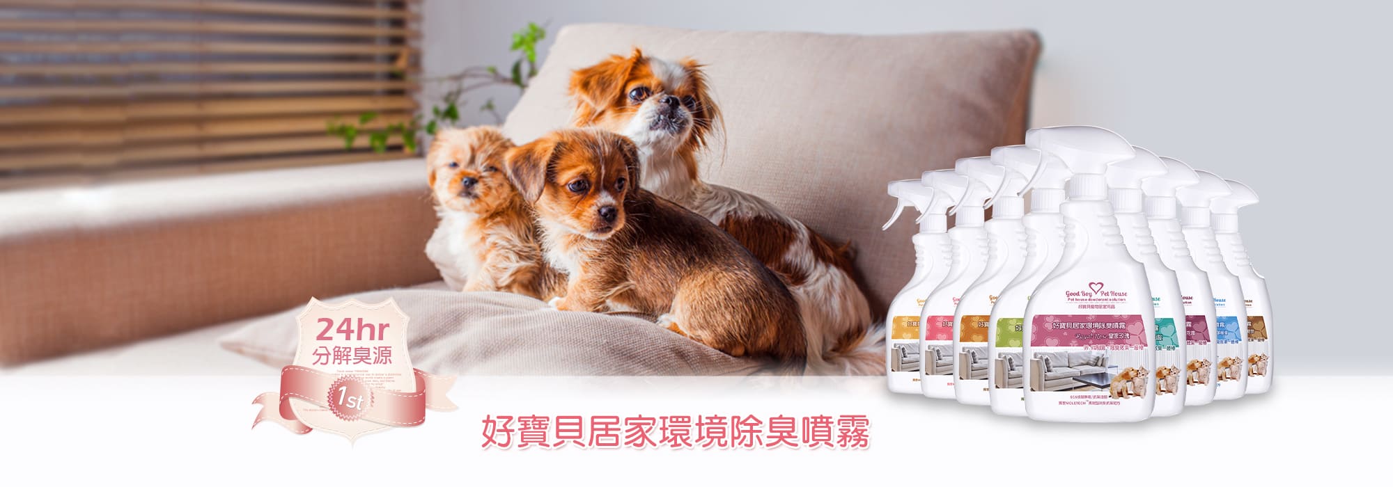 好寶貝居家環境除臭噴霧，小狗趴在床上