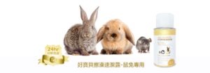 乾洗澡 兔子倉鼠 身體除臭 GBPH 好寶貝