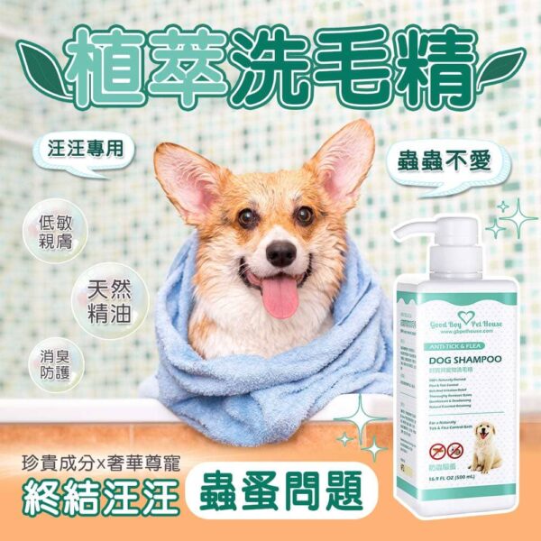 蟲蟲剋星草本植萃肌膚養護寵物洗毛精 - 狗狗專用 薄荷雪花薑餅人泡泡 500ml：圖片 5
