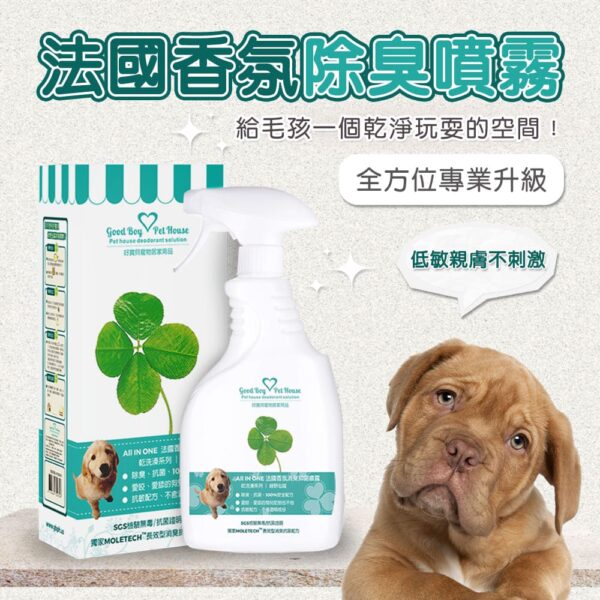 All IN ONE法國香氛寵物除臭防護噴霧 乾洗澡系列 - 綠野仙蹤 500ml  (犬貓通用) 熱銷No.1 清新草原味：圖片 4