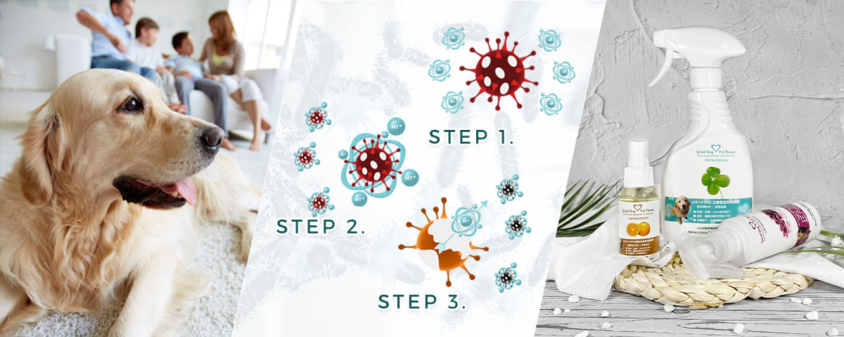 狗狗除臭劑推薦品牌 好寶貝 All in One 法國香氛除臭噴霧