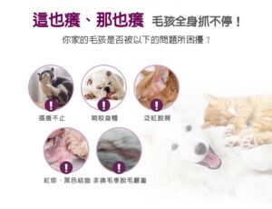 毛孩全身抓不停!