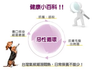 專業呵護 全效修護