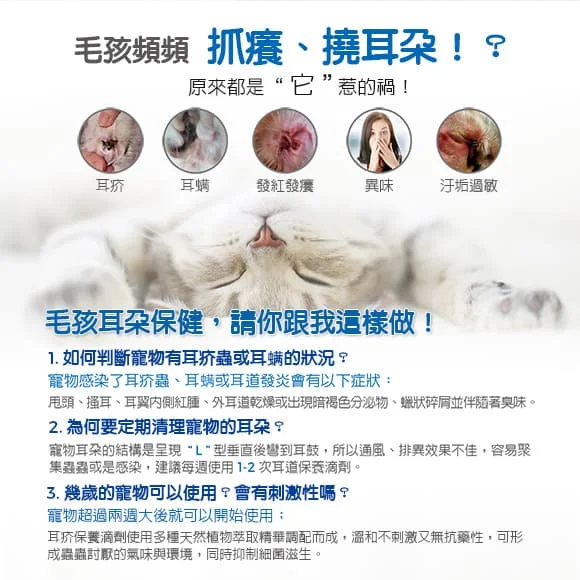 預防黑耳垢與異味